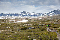 rogerravlolosvik_20150805_55c26a37a58ed.jpg