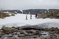 rogerravlolosvik_20150805_55c26a461d2fd.jpg
