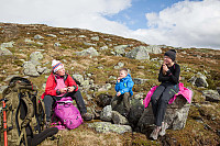 rogerravlolosvik_20150805_55c26e9f321b5.jpg