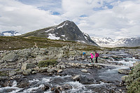 rogerravlolosvik_20150823_55da2c919e88c.jpg