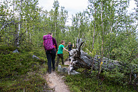 rogerravlolosvik_20150823_55da2d1ee73be.jpg