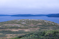 rogerravlolosvik_20150906_55ec2d59b9027.jpg