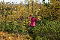 rogerravlolosvik_20151001_560d8ff4e7350.jpg