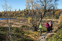 rogerravlolosvik_20151003_561036ddd2e24.jpg