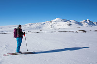 rogerravlolosvik_20160412_570ca16e43820.jpg