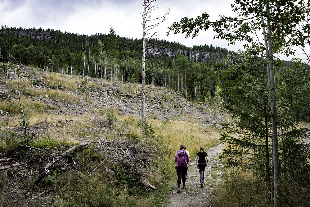 Stien på vei opp fra hovedveien. Mørkgonga kan sees som et svart hakk øverst på åsen.