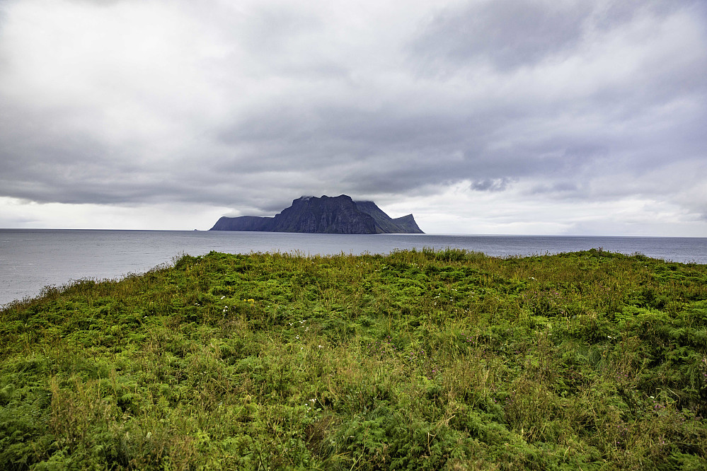 Toppen av Kjeholmen med Nord-Fugløya i bakgrunnen.