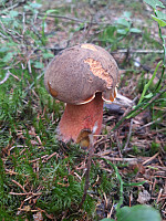 Periannath_20190722_5d36102c59b7e.jpg