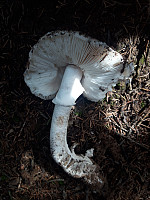 Periannath_20190722_5d3610332ecf5.jpg