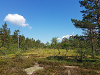 josokbakke_20180602_5b12bd36bb679.jpg