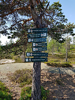 josokbakke_20180602_5b12bd4a942e5.jpg
