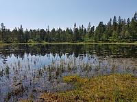 josokbakke_20180602_5b12bd521605c.jpg