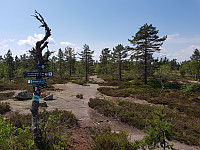 josokbakke_20180602_5b12bd62b78aa.jpg