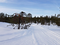josokbakke_20190224_5c725d2e7a276.jpg