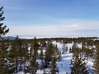 josokbakke_20190224_5c725d3a3771b.jpg