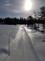 josokbakke_20190224_5c725d51d315d.jpg