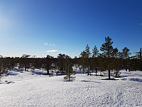 josokbakke_20190401_5ca1a768ce77a.jpg