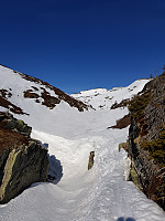 josokbakke_20190418_5cb8d4f778c13.jpg