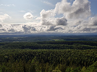 josokbakke_20190804_5d46a1fa948d0.jpg
