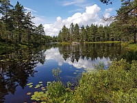 josokbakke_20190804_5d46a42fb73ae.jpg