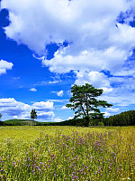 josokbakke_20190804_5d46a43a3a02c.jpg