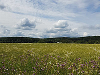 josokbakke_20190804_5d46a43d26557.jpg
