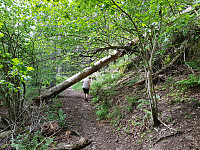 josokbakke_20190804_5d46a6aa70de0.jpg