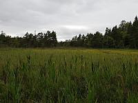 josokbakke_20190804_5d471066b2349.jpg