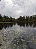 josokbakke_20190811_5d4fe441b7c2e.jpg
