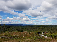 josokbakke_20200731_5f23d8aaed3a5.jpg