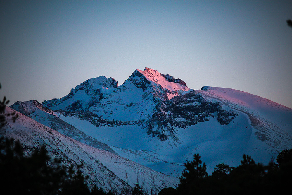 Jønshornet