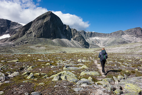 Litt lenger inn i Storstyggsvånådalen, hvor Bruri troner foran oss