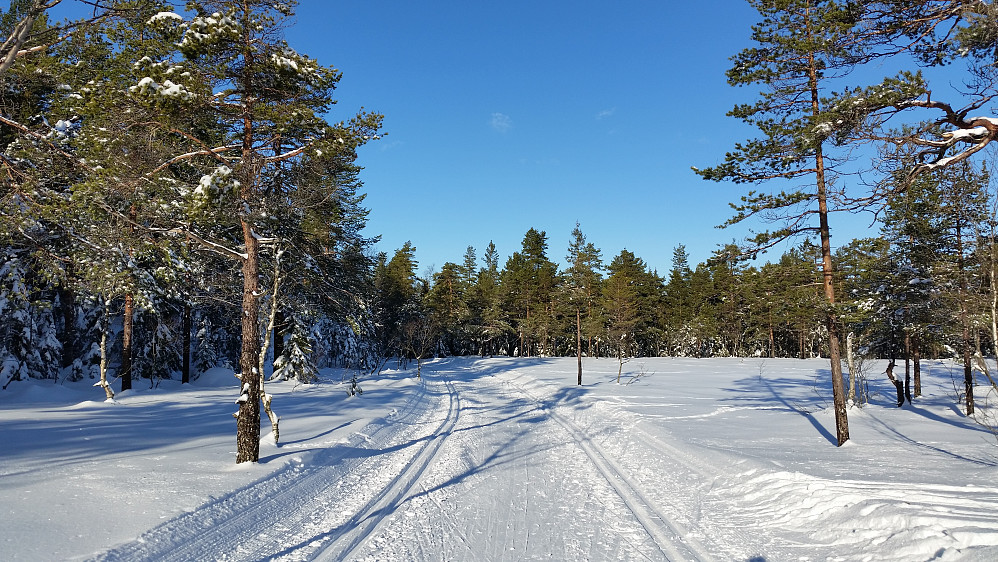 På vei til Ullevålseter