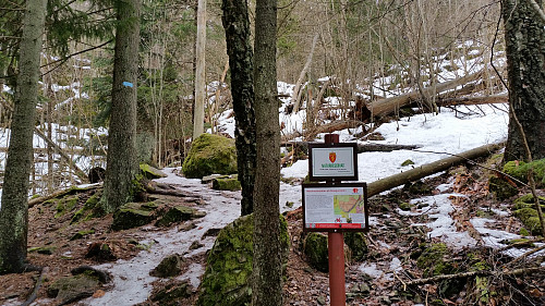 Skaugumåsen naturreservat