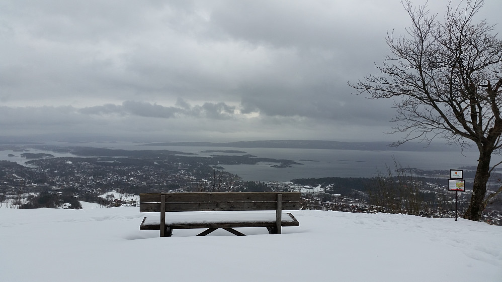 Skaugumåsen