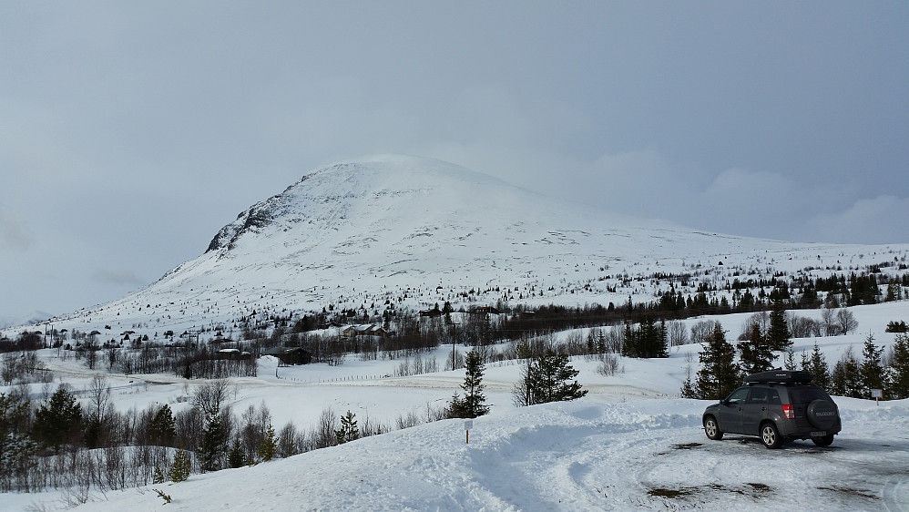 Skogshorn sett fra Skogshorn parkering