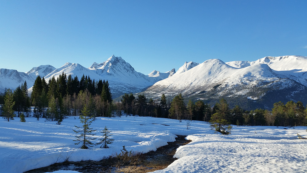 Vengedalen sett fra Vårseterhjellen