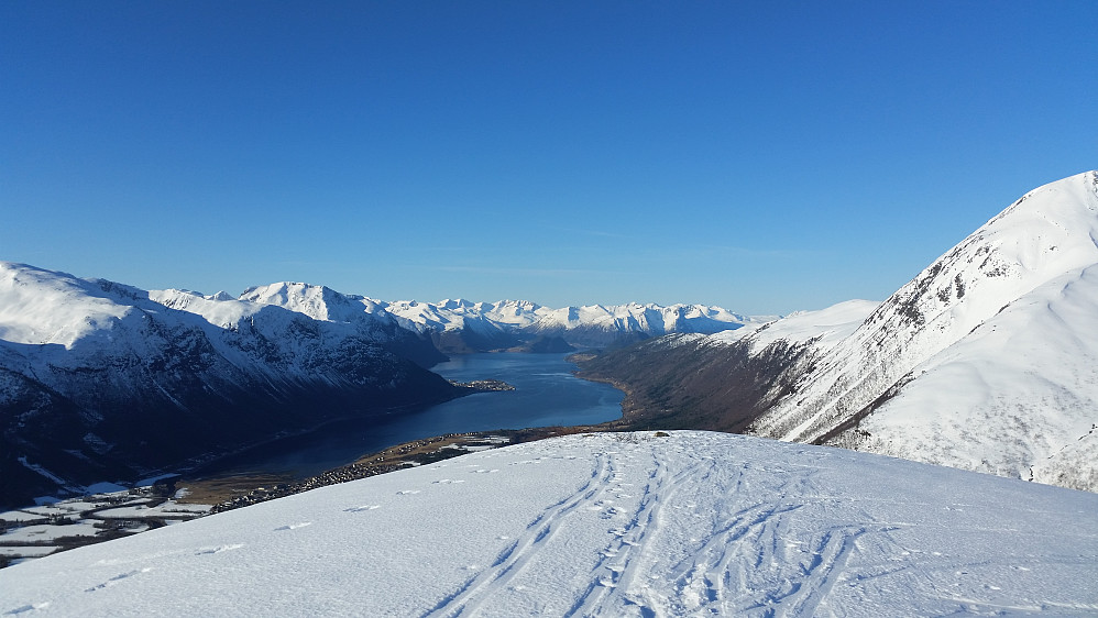 Isfjorden sett fra Steinberget
