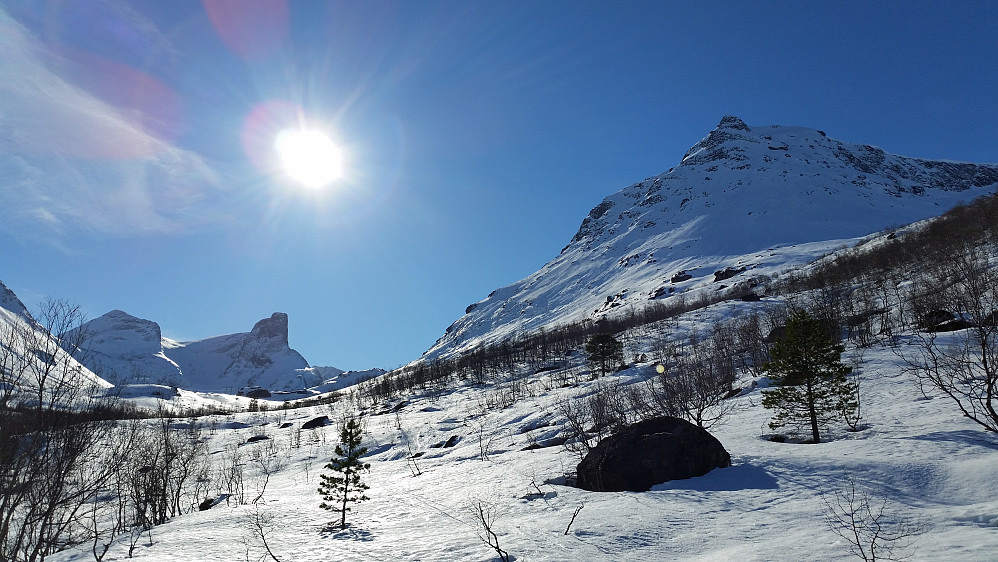 Romsdalshornet og Blånebba sett fra Venjedalsetra