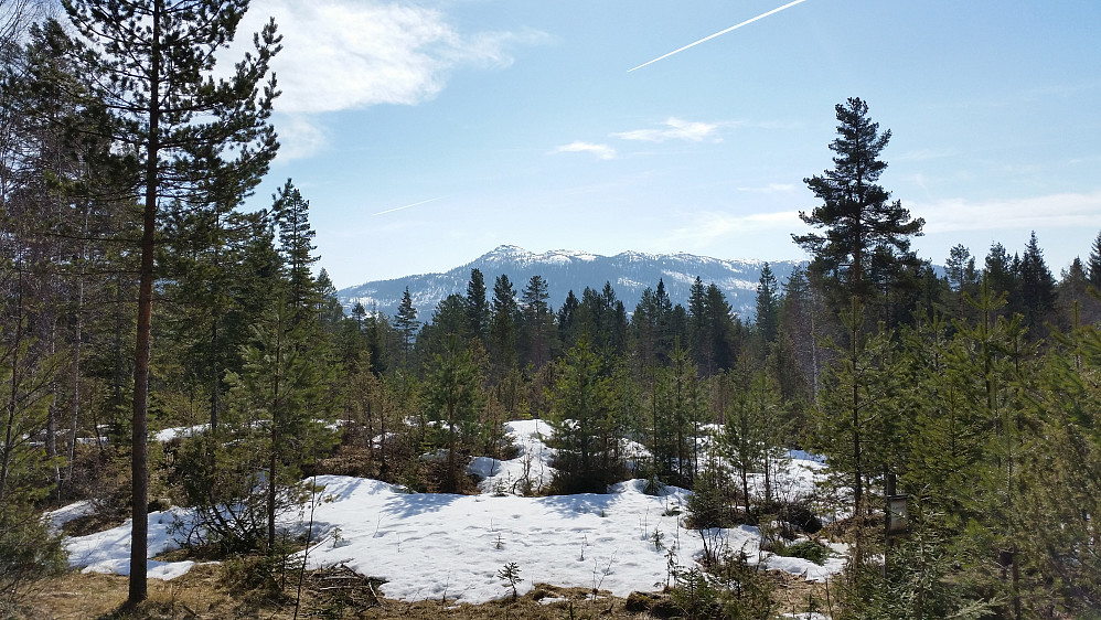 Utsikt mot Skrimfjellet og dagens mål :-) 