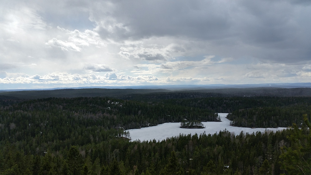 Utsikt mot Tonevann fra Tonekollen