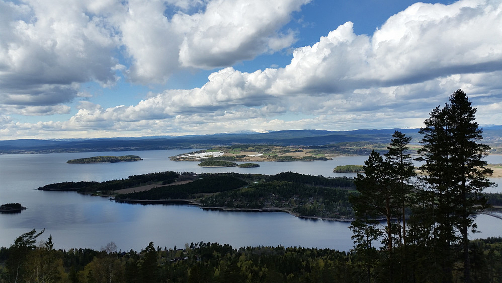 Tyrifjorden sett fra Manaskaret