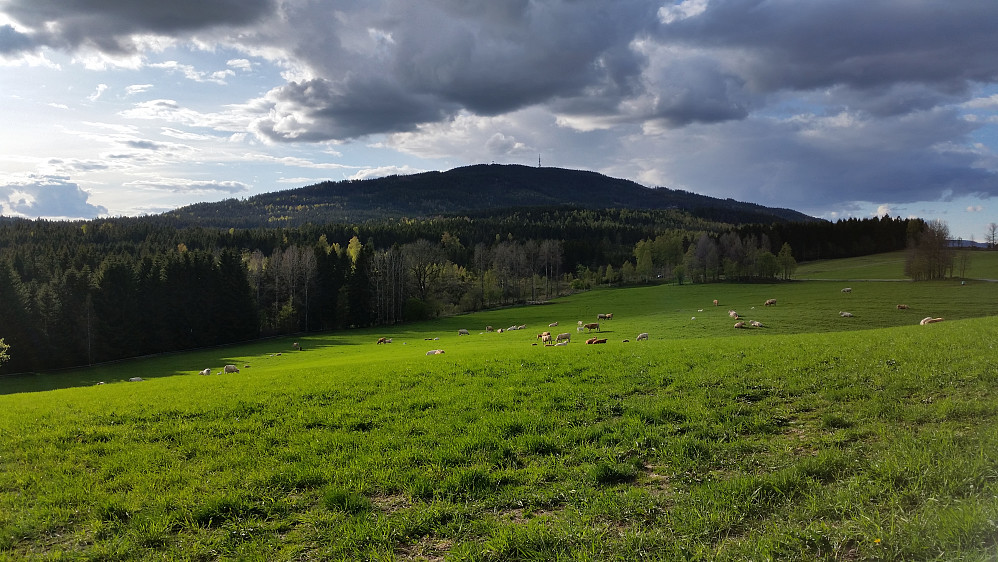 Mistberget