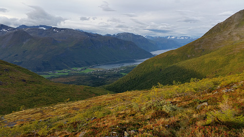 Utsikt ned mot Isfjorden.