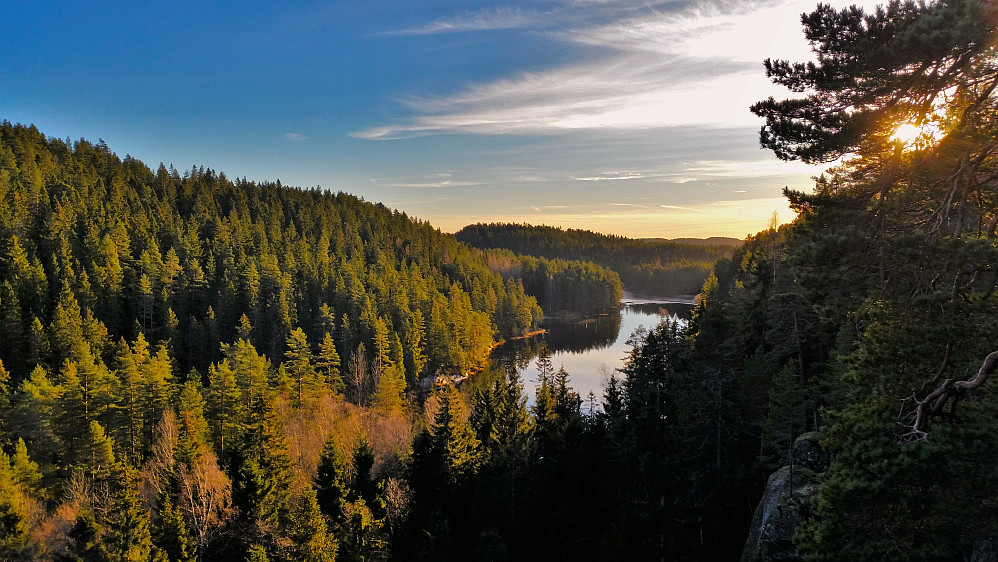 Hauktjern.