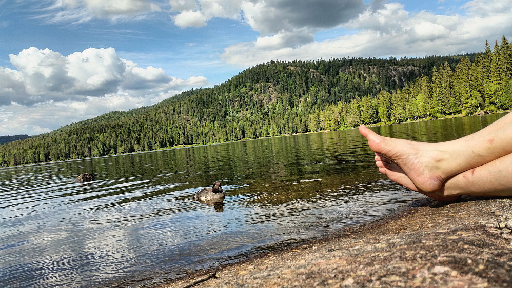 Herlig bad og selskap av en ny kompis ved Øyungen..
Øyungskollen i bakgrunnen.