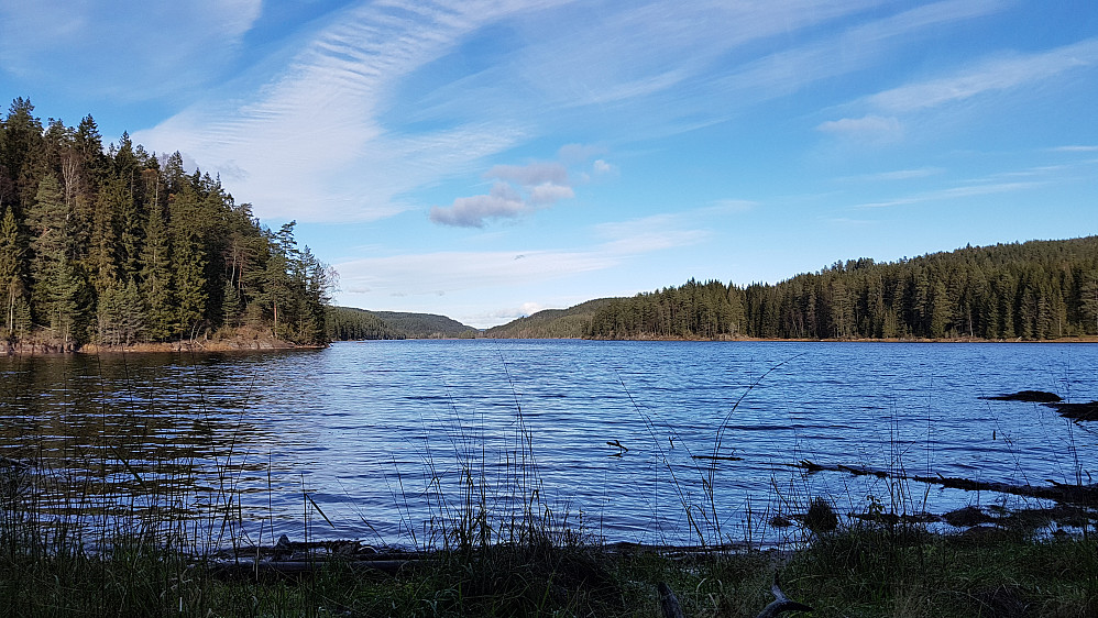 Nord-Elvåga,sett fra sørsiden ved Pettersbråtan.