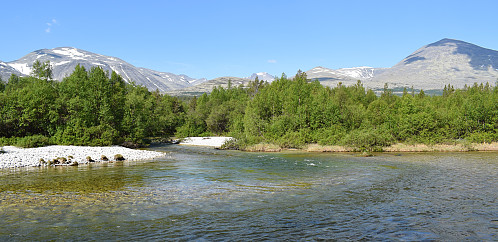 Atna elva,sett fra Straumbu og stistart mot Høgronden.