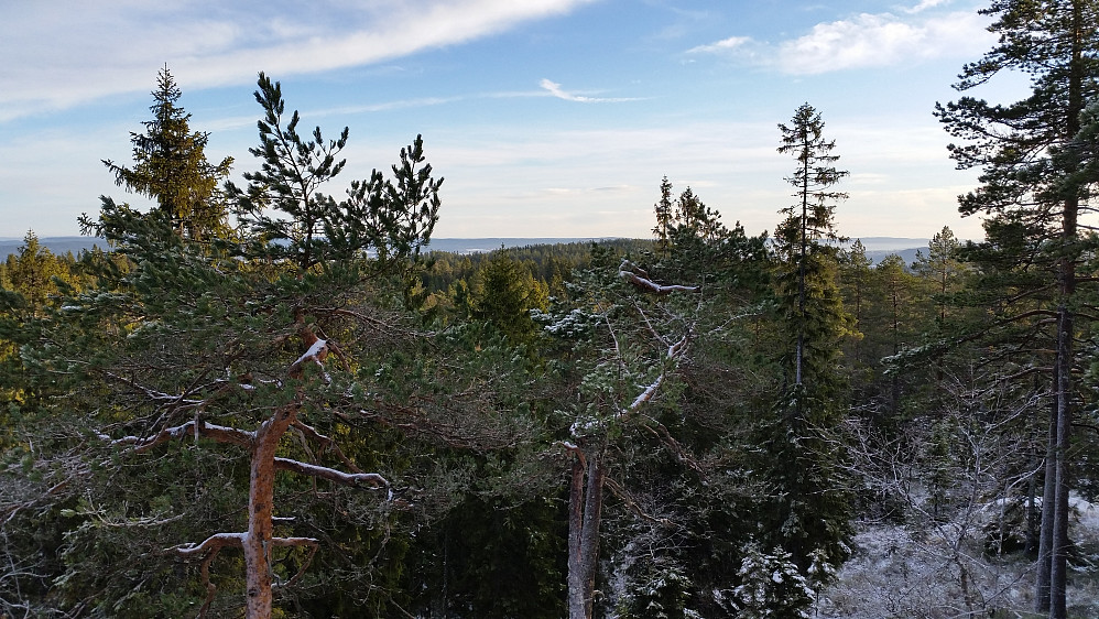 Utsikt fra Barlindåsen