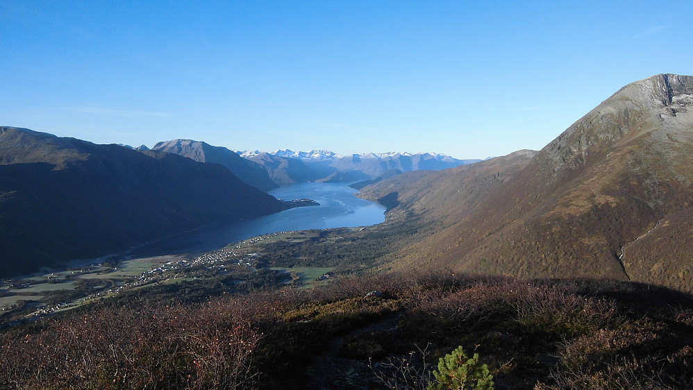Isfjorden og Romsdals fjorden sett fra Steinberget